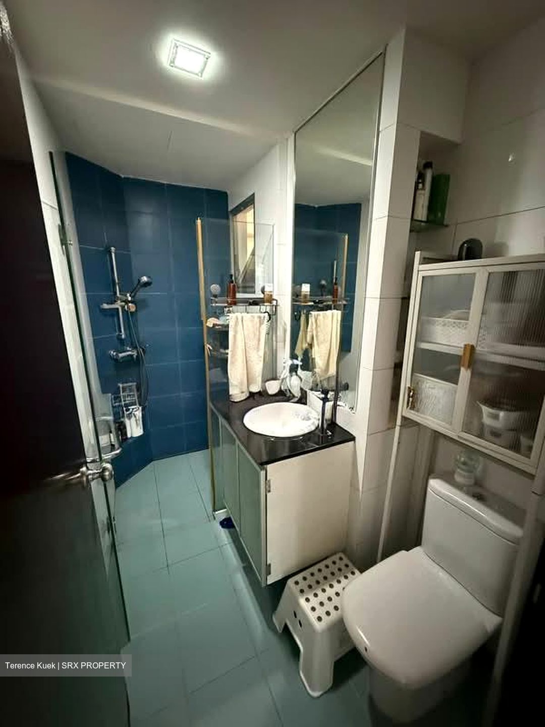 Grandeur 8 (D20), Condominium #624054841